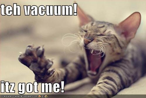 icanhascheezburger vacuum lolcat