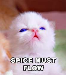 spicekitteh